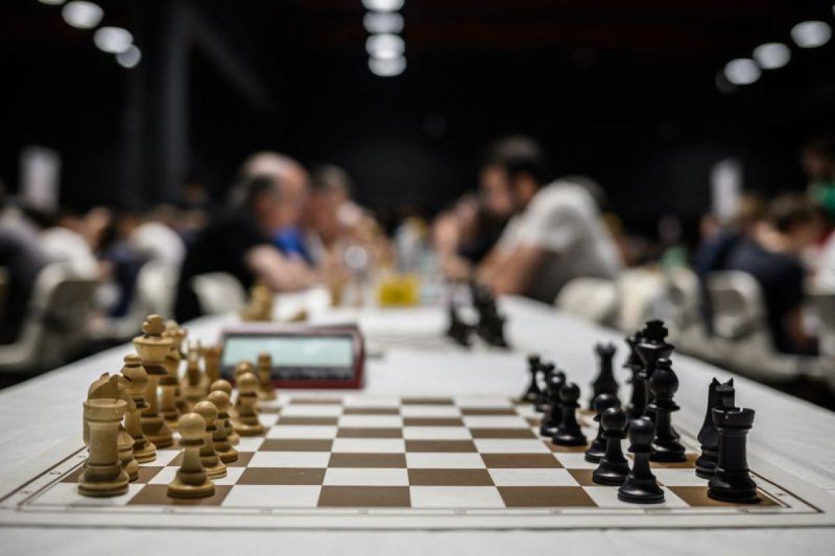 认识一下击败国际象棋大师的8岁男孩
