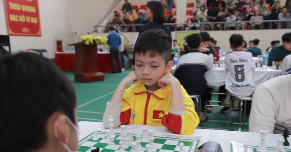 山西国际象棋公开赛参赛人数创历史新高