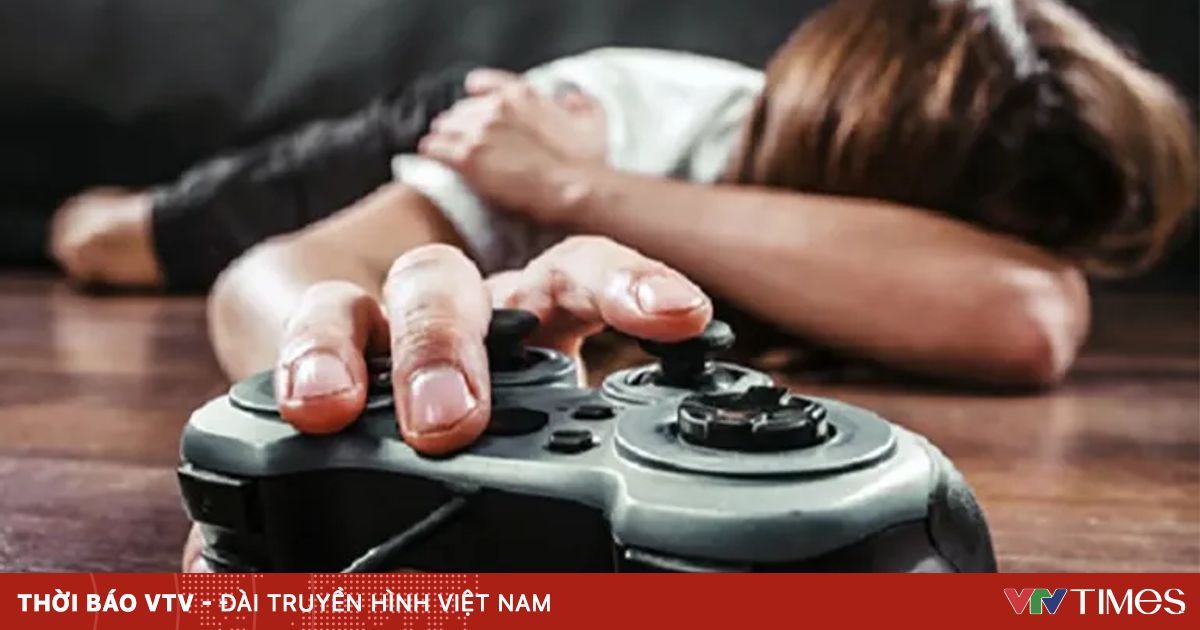 胡志明市加强非法电子游戏管理